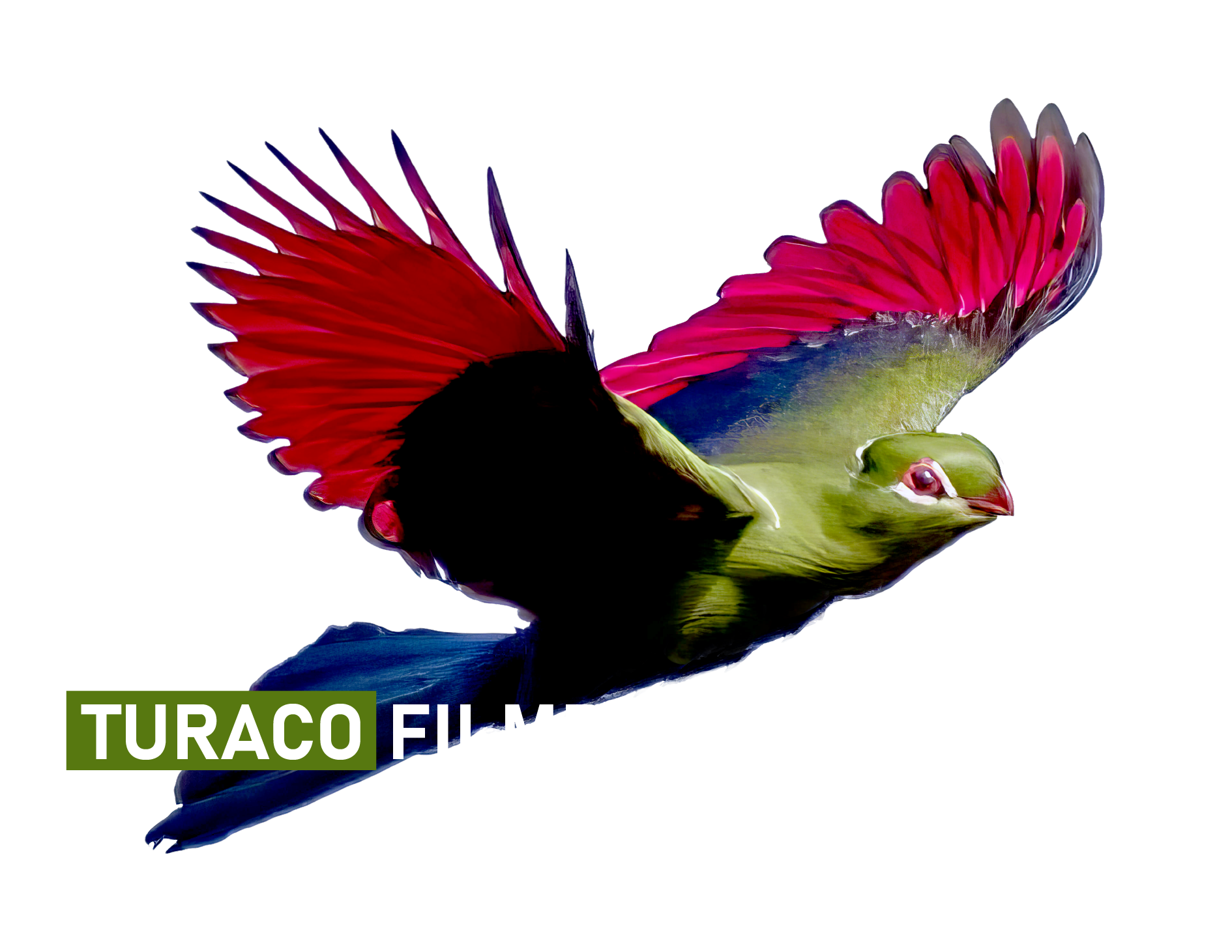 Turaco Filmverleih